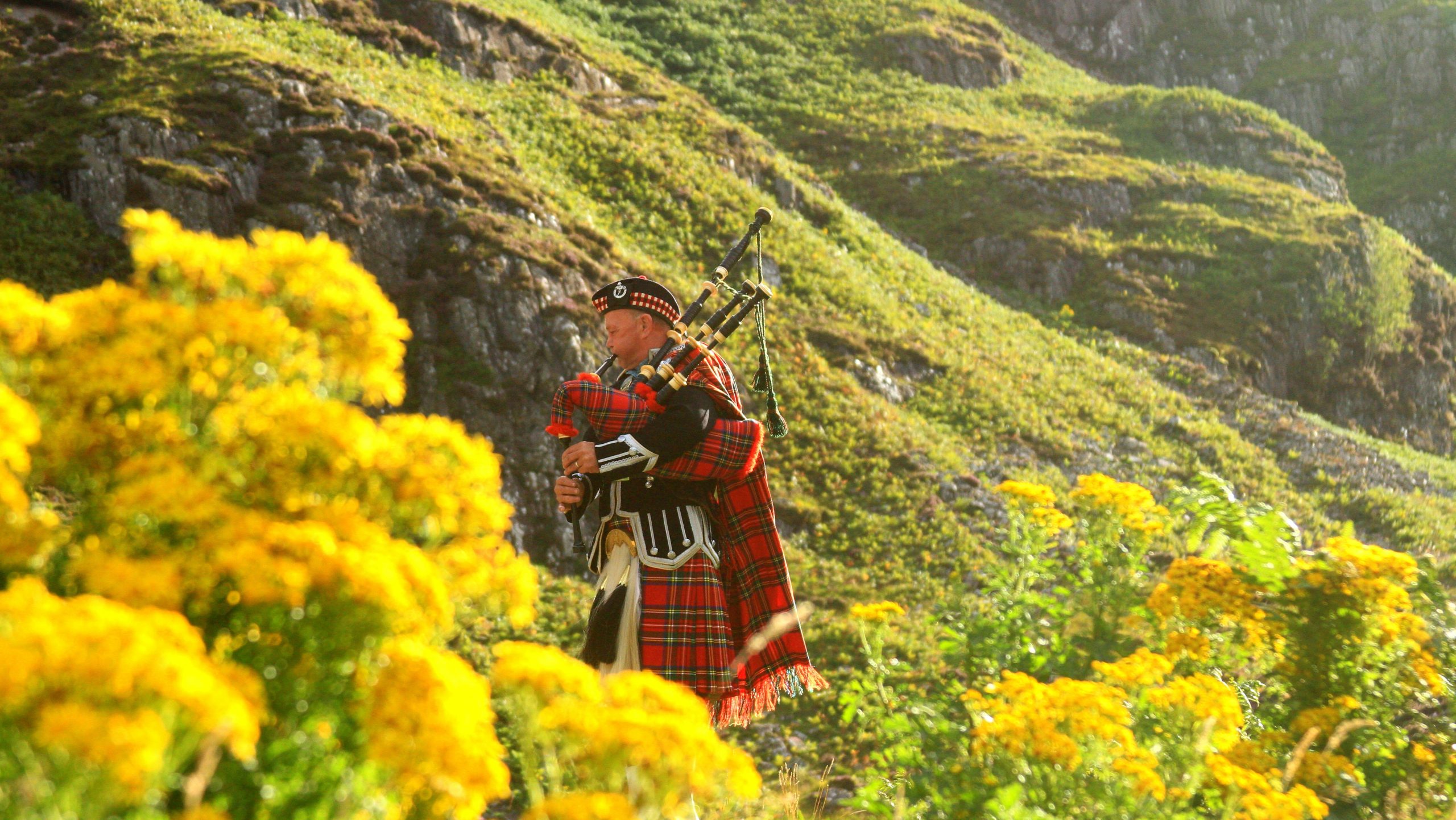 Scotland by Photo by Gene Taylor