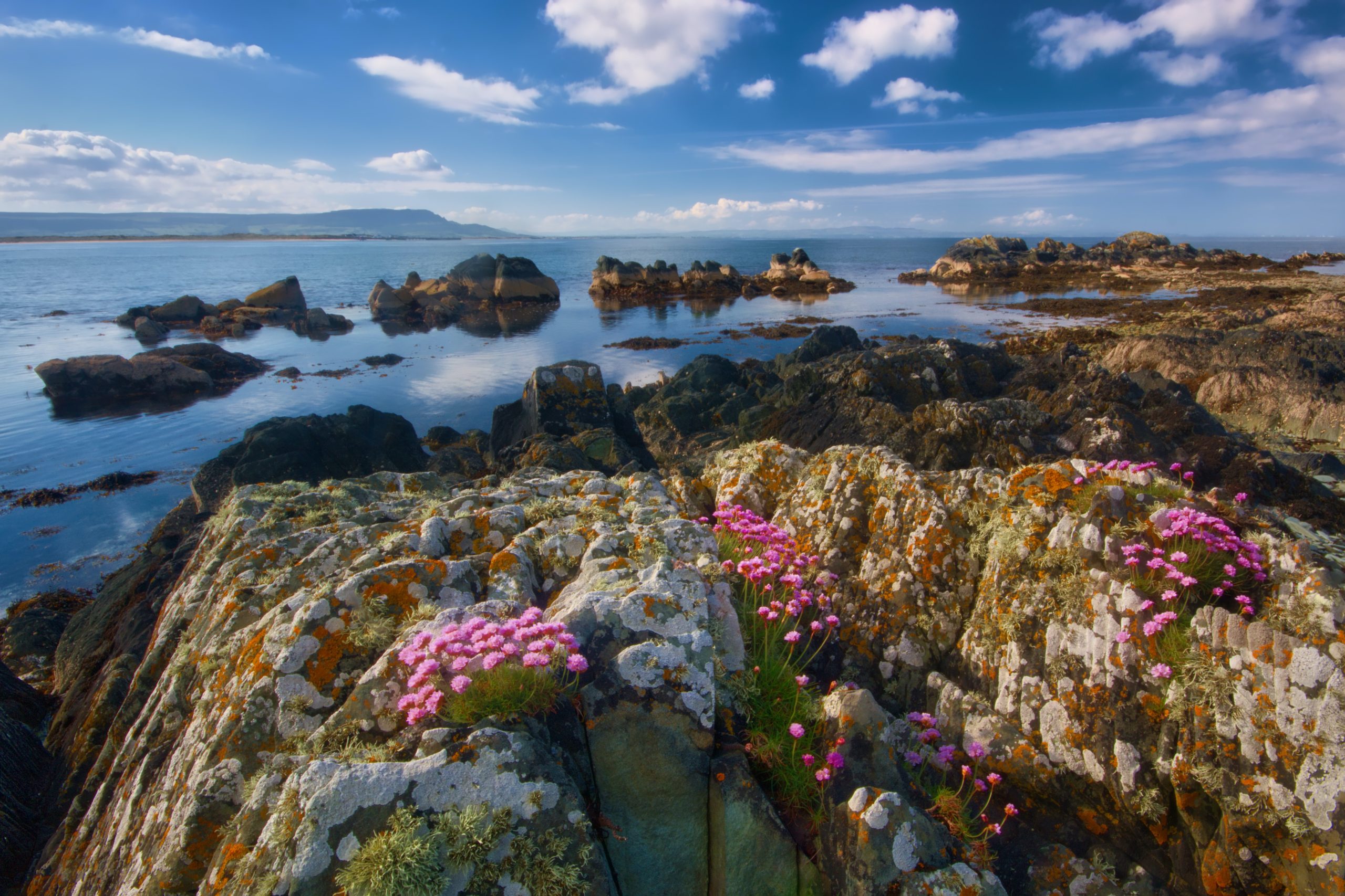 Ireland Photo by Steven Hylands