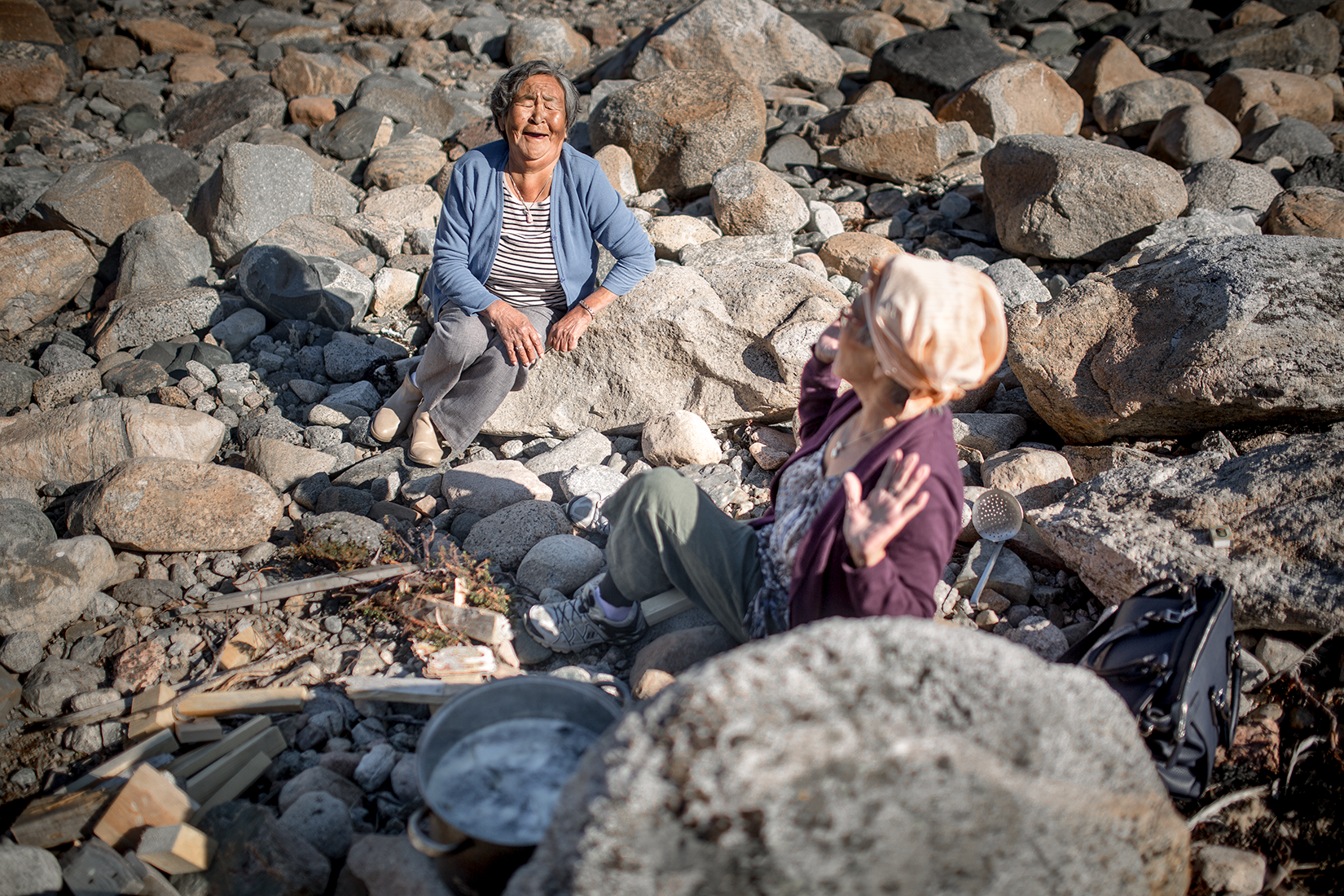 A Comprehensive Guide to Greenlandic Food and Cuisine