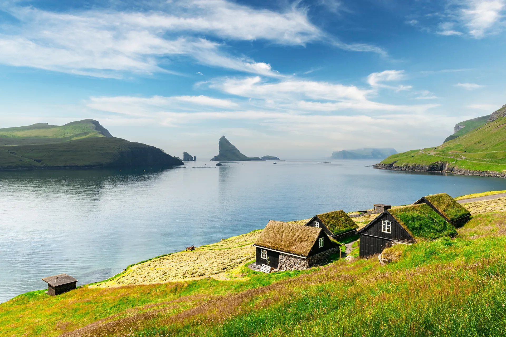 Lush green landscape with tranquil water
