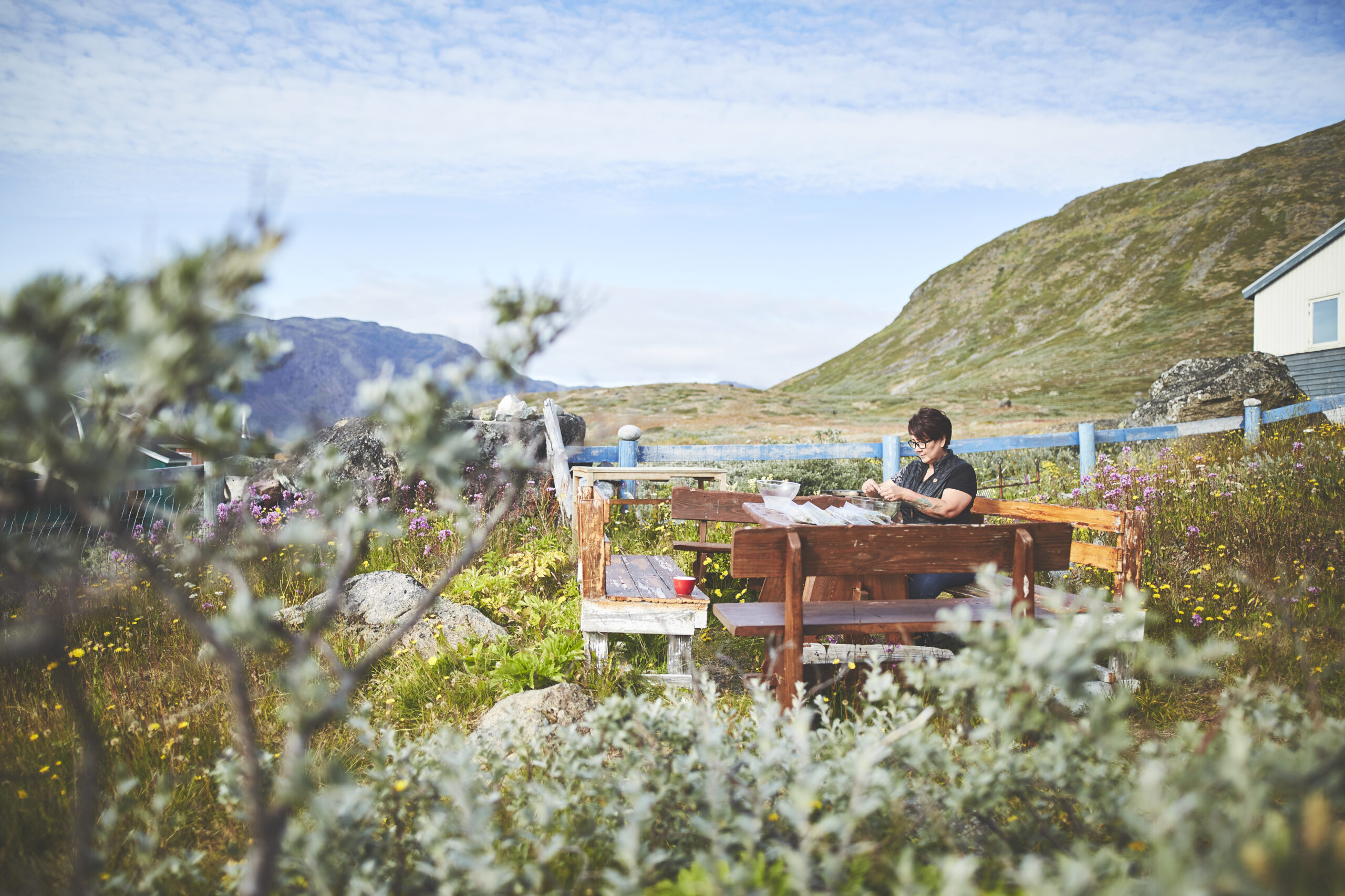 Discovering Narsaq: South Greenland’s Green Plain